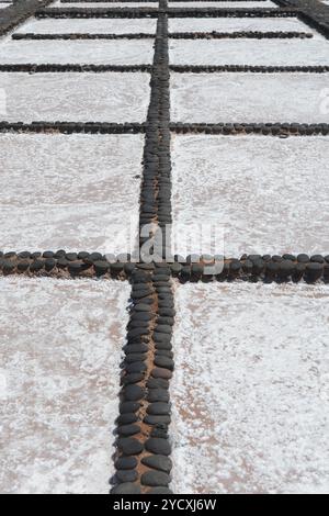 Eine detaillierte Ansicht der Salzverdunstungsteiche, die bei der Salzgewinnung verwendet werden, mit ausgekleideten Trennwänden und kristallisierten Salzschichten Stockfoto