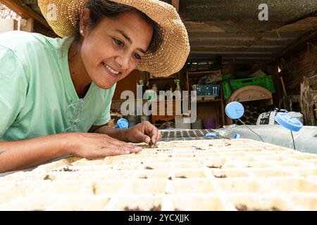 Lächelnde Frau mit Strohhut inspiziert die Setzlinge auf einer Cannabisfarm genau das Bild fängt die frühen Stadien des Pflanzenwachstums in einer organisierten, h Stockfoto