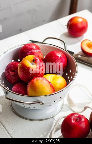 Saftige rote Pflaumen, frisch gewaschen mit sichtbaren Wassertröpfchen, stapeln sich in einem weißen Sieb auf einem hellen Holztisch. Stockfoto