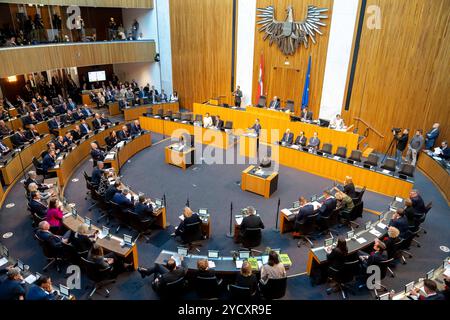 HERBERT KICKL von der FPOE-Partei sprach vor der Wahl des 1., 2. Und 3. Präsidenten des Nationalrates auf der konstituierenden Sitzung des neu gewählten Nationalrates im österreichischen Parlament. Stockfoto