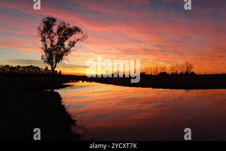 Spektakulärer Sonnenaufgang mit feurigem Himmel und farbenfrohen Farbtönen, die sich im Wasser widerspiegeln und im Kontrast zu Baumsilhouetten im ländlichen NSW Australien stehen Stockfoto