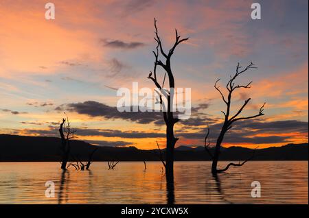 Sunset Outback NSW Australien Stockfoto