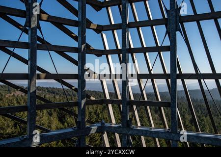 Der Aussichtsturm Velka Destna auf dem höchsten Gipfel des Orlicke-Gebirges 1115 liegt 3 km östlich von Destne im Orlicke-Gebirge, Tschechien, am 24. Oktober 2024. (CTK-Foto/David Tanecek) Stockfoto