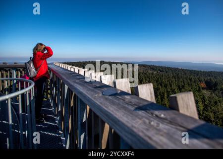 Orlicke Mountains, Tschechische Republik, 24. Oktober 2024. Der Aussichtsturm Velka Destna auf dem höchsten Gipfel des Orlicke-Gebirges 1115 liegt 3 km östlich von Destne im Orlicke-Gebirge, Tschechien, am 24. Oktober 2024. (CTK-Foto/David Tanecek) Stockfoto