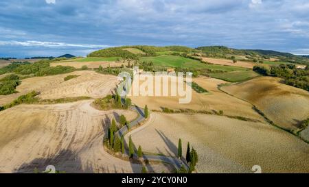 In der Toskana entfaltet sich eine ruhige Landschaft, wo goldene Felder auf üppige Hügel treffen, die von eleganten Zypressen unter einem milden Dämmerhimmel unterbrochen werden. Die Ruhe der Natur strahlt hier aus. Stockfoto