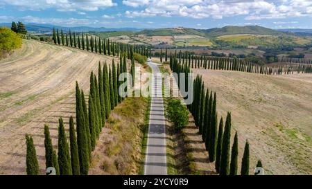 Eine ruhige Reise führt Sie entlang wunderschöner Zypressen, die über eine verwinkelte Straße in der Toskana thronen und das Wesen der malerischen Landschaft Italiens und des ruhigen ländlichen Charmes einfangen. Stockfoto