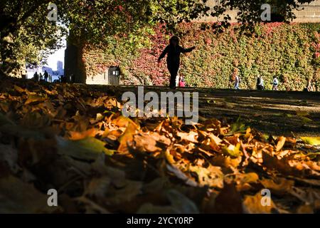 The Mall, London, Großbritannien. Oktober 2024. Wetter in Großbritannien: Herbstfarben und Sonnenschein in London. Quelle: Matthew Chattle/Alamy Live News Stockfoto