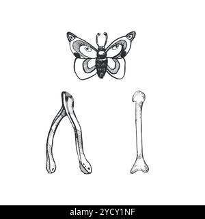 Halloween. Nachtfalter, Vogelknochen für Glückssagen, alle Objekte sind handgezeichnet mit Tinte im Vektor. Halloween-Illustration. Zum Drucken auf Stock Vektor