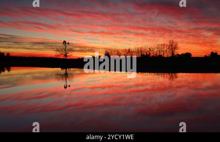 Sensationeller Sonnenaufgang im ländlichen Australien mit Reflexionen im Farmdamm Stockfoto