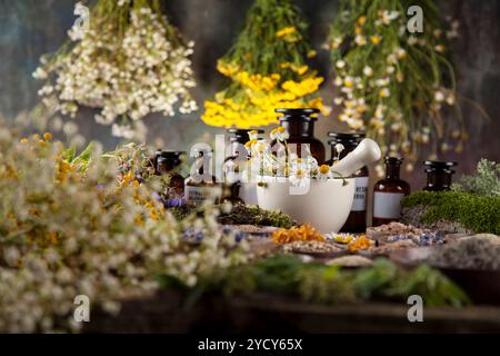 Kräuter, Beeren und Blumen mit Mörtel, Holz Tisch Hintergrund Stockfoto