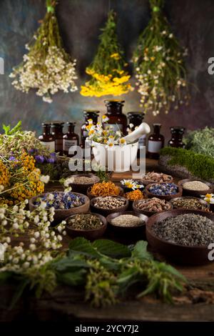 Kräuter, Beeren und Blumen mit Mörtel, Holz Tisch Hintergrund Stockfoto