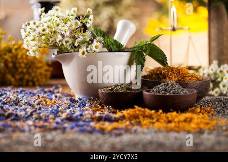 Kräuter, Beeren und Blumen mit Mörtel, Holz Tisch Hintergrund Stockfoto