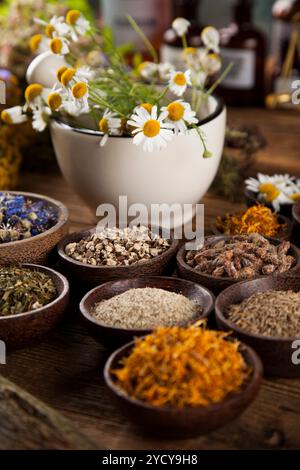 Kräuter, Beeren und Blumen mit Mörtel, Holz Tisch Hintergrund Stockfoto