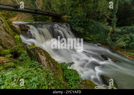 Zlaty Bach und Wasserfall in der Nähe kleiner Teiche am Herbstabend in Opocno CZ 10 19 2024 Stockfoto