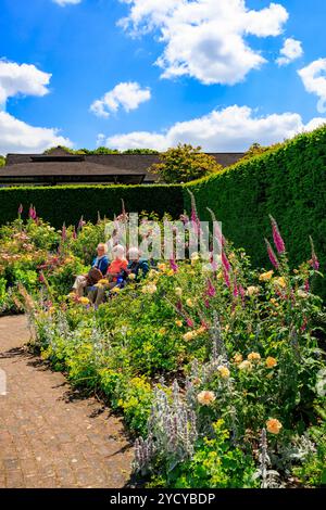 Eine farbenfrohe Ausstellung von Sommerrosen und Fuchshandschuhen im Queen Mother's Rose Garden im RHS Garden Rosemoor, Devon, England, Großbritannien Stockfoto