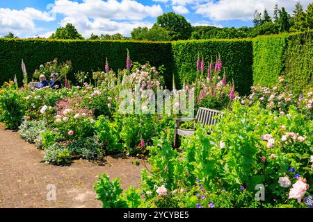 Eine farbenfrohe Ausstellung von Sommerrosen und Fuchshandschuhen im Queen Mother's Rose Garden im RHS Garden Rosemoor, Devon, England, Großbritannien Stockfoto