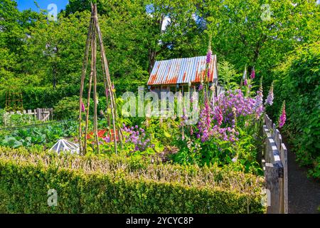 Ein Vorführgartengarten mit Holzschuppen im Gemüsegarten bei RHS Rosemoor, North Devon, England, Großbritannien Stockfoto