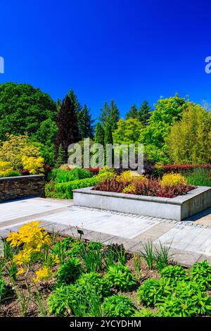 Eine bunte Mischung aus Stauden im Hot Garden im RHS Garden Rosemoor, Devon, England, Großbritannien Stockfoto