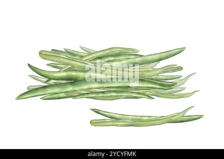 Grüne Bohnen häufen Aquarelle handgezeichnete Illustration in realistischem Stil. Frische Bio-Gemüsezutaten für gesunden Salat, veganes Gericht. Stockfoto