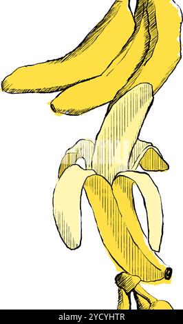 Nahtlose vertikale Grenze Bananenvektormuster im grafischen Dschungel Tropical Forest Stock Vektor