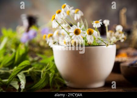 Heilkräuter auf Holztisch, Mörtel und Kräutermedizin Stockfoto