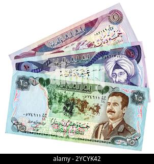 Verschiedene vintage Banknoten im Irak isoliert auf weißem Hintergrund Stockfoto