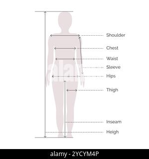 Geschlecht neutrale Körpermaße Proportionen für Kleidung Design und Nähen Diagramm für Mode Vektor Illustration für Mann und Frau Stock Vektor