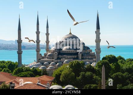 Moschee in Istanbul Stockfoto