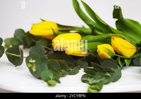 Schöne gelbe Tulpen mit Eukalyptuszweigen auf einem weißen Tisch Stockfoto