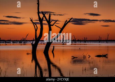 Sonnenuntergang und Silhouetten über den herrlichen Menindee Lakes im weit entfernten Outback NSW, eine Oase in einer rauen, trockenen Wüstenlandschaft. Es gibt eine Menge Konten Stockfoto