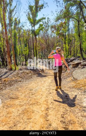 Wandern im regenerierenden Buschland nach Feuer Stockfoto