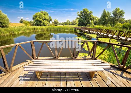 Kopacki Rit Marsch Naturpark Vogelbeobachtungsdeck und Holzsteg Stockfoto