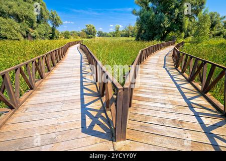 Kopacki Rit Marschen Naturpark mit Blick auf die Holzpromenade Stockfoto