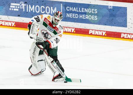 Strauss Mann (Augsburger Panther, 38) Penny DEL: D?sseldorfer EG - Augsburger Panther; D?sseldorf, PSD Bank Dome; 24.10.2024 Stockfoto