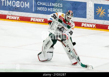 Strauss Mann (Augsburger Panther, 38) Penny DEL: D?sseldorfer EG - Augsburger Panther; D?sseldorf, PSD Bank Dome; 24.10.2024 Stockfoto