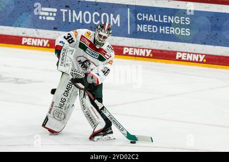 Strauss Mann (Augsburger Panther, 38) Penny DEL: D?sseldorfer EG - Augsburger Panther; D?sseldorf, PSD Bank Dome; 24.10.2024 Stockfoto