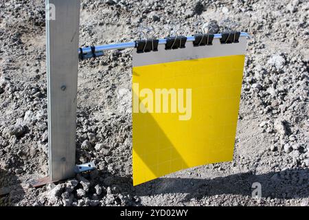 Gelbfalle mit Leimbeschichtung für Schädlinge, fliegende Insekten. Überwachung und Bekämpfung von Pflanzenschädlingen. Stockfoto