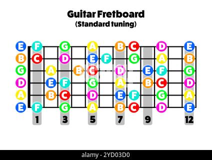 Notizen auf dem Gitarren-Griffbrett. Druckbares A4-Format, Querformat. Für Musikschulen, Lehrer und Schüler, um die Notizen am Hals zu lernen. Stockfoto