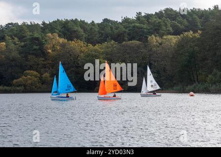 Segelboote oder Yachten auf dem Frensham Great Pond in Surrey, England, Großbritannien Stockfoto