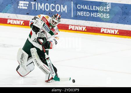 Strauss Mann (Augsburger Panther, 38) Penny DEL: D?sseldorfer EG - Augsburger Panther; D?sseldorf, PSD Bank Dome; 24.10.2024 Stockfoto