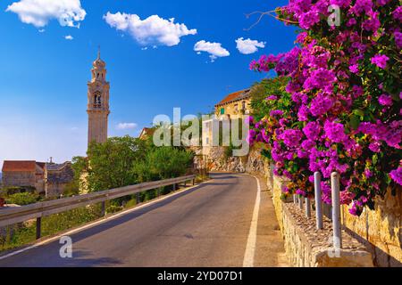 Dorf Lozisca auf der Insel Brac, historische Straße und Blick auf die kolofrul-Blumen Stockfoto