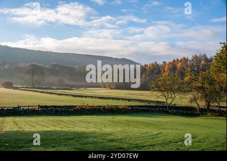 Herbstmorgen in Bilsdale, North Yorkshire, Großbritannien Stockfoto