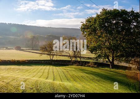 Herbstmorgen in Bilsdale, North Yorkshire, Großbritannien Stockfoto