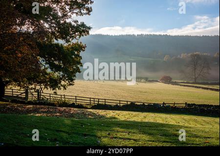 Herbstmorgen in Bilsdale, North Yorkshire, Großbritannien Stockfoto