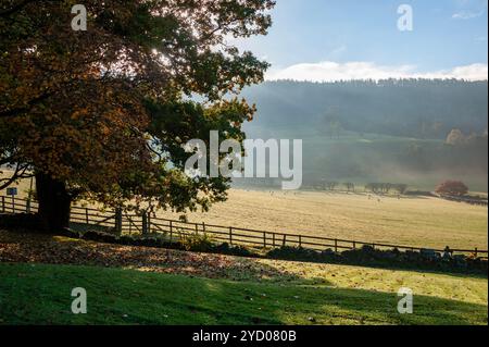 Herbstmorgen in Bilsdale, North Yorkshire, Großbritannien Stockfoto