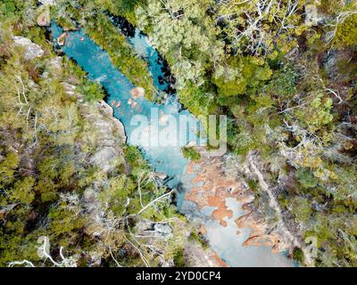 Hoch über den Bäumen mit Blick auf Süßwasser-Felsenbecken in einem Buschland-Paradies Stockfoto