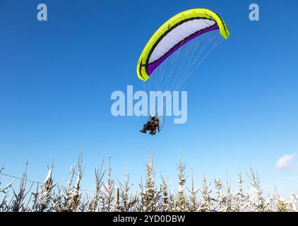 Samara, Russland - Januar 20, 2019: Air Sportler fliegen auf paraplane gegen den blauen Himmel Stockfoto