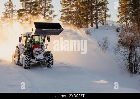 Schneepflug-Traktor, der Schnee mit einem großen Löffel auf Landstraßen reinigt. Sonnenlicht. Winterliche Geländeräumung, Straßensicherheit. Kopierbereich Stockfoto