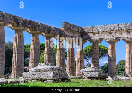 Tempel der Hera in Paestum in Italien: Blick über die Cella. Stockfoto