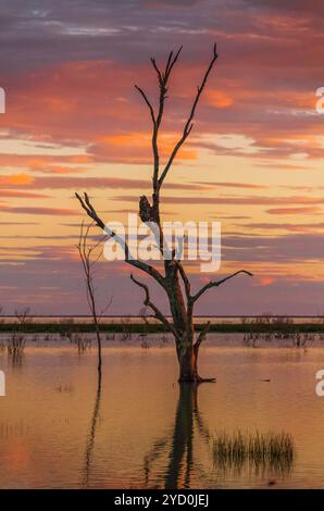 Die vielen Farben eines Sonnenuntergangs im Outback vom Lake Menindee nahe Broken HillISO:800 Stockfoto